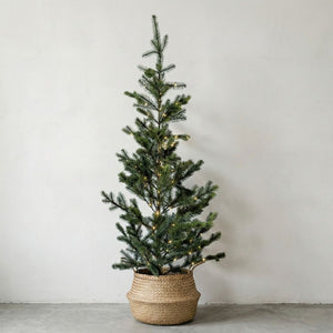 Korb für Weihnachtsbaum - Kamu Basket