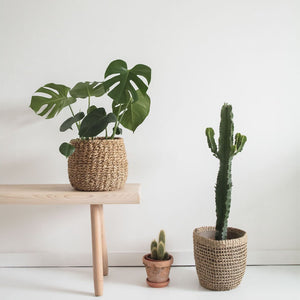 Aufbewahrungskorb Milu aus Seegras, locker geflochten