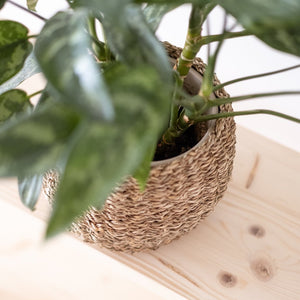Pflanzenkorb Bana aus Seegras