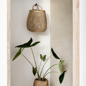 Hängekorb Alam atisan