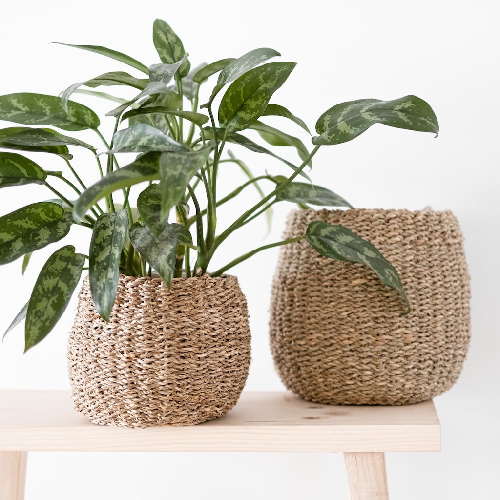 Pflanzenkorb Bana aus Seegras